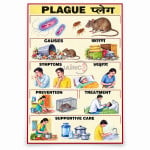 Plague Chart